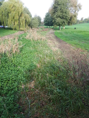 River Gade in Gadebridge Park Autumn 2019