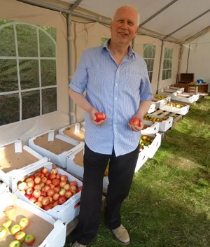 Apples at Tring Apple Day