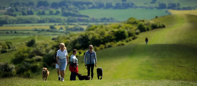 Ivinghoe Dog Walkers